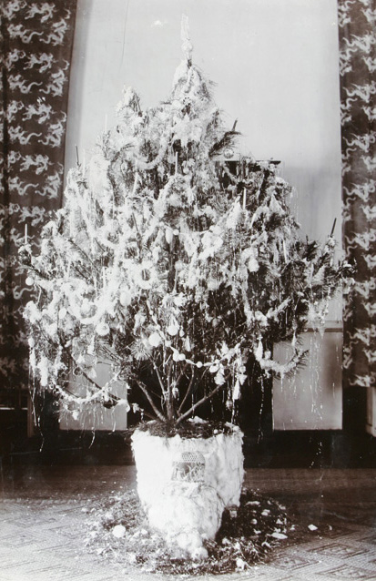 Christmas tree, Commissioner's House, Lappa (Macao) 1908. Hedgeland collection, He01-217, © 2007 SOAS.