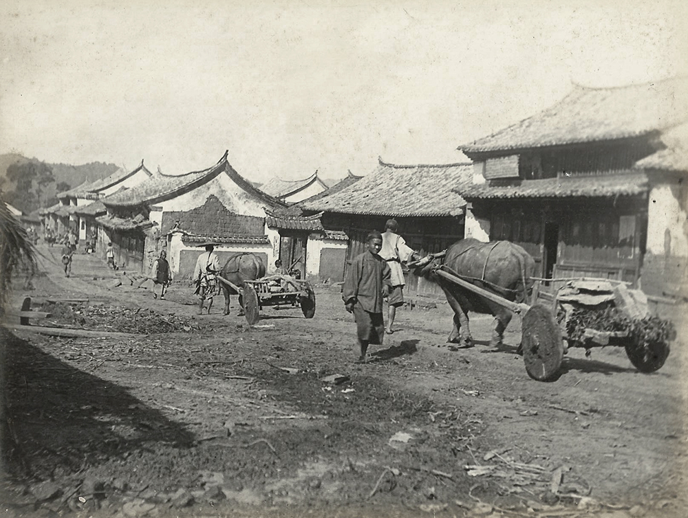 Buffalo carts on a road in Szemao. There was also a striking contrast between Chinese architecture and that of the tribal people. Frederic Carey Collection, FC01-20 © 2011 Ann Kinross.